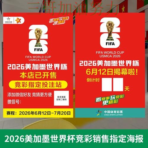 世界杯投注网站大全真实体验总结：入口在哪关键点解析（世界杯官方信息）