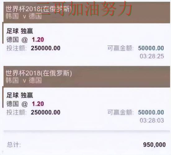 新手必看：世界杯投注平台推荐官网直达+直播详解 + 世界杯官方信息
