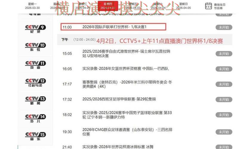世界杯投注平台合集解析：聚焦数据分析与赛事直播体验 - 世界杯官方信息